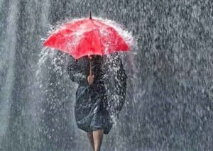 हरियाणा में दिन-प्रतिदिन मौसम बदल रहा,  फिर होगी झमाझम बारिश, मौसम विभाग ने जारी किया Alert