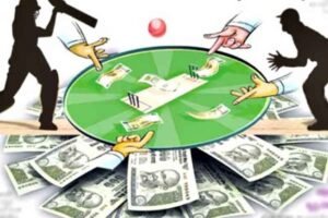 IPL 2025: बिलासपुर की हर गलियों में सटोरिए सक्रिय, क्रिकेट पर लगा रहे दांव