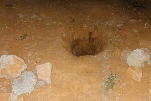 ग्वालियर में दहलाने वाली घटना 12 साल की लड़की ने 4 साल के बच्चे की हत्या कर दी