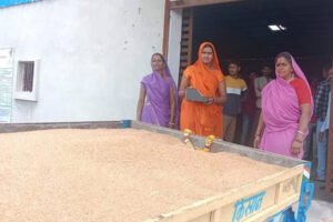 उपार्जन केंद्रों में MSP पर गेहूं की खरीद करेंगी महिलाएं, स्व-सहायता समूह