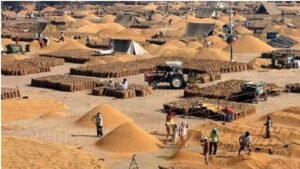 टीकमगढ़ प्रशासन ने कृषि उपज मंडी में मारी रेड, 15772 क्विंटल अवैध गेहूं किया जब्त