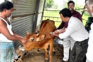 पशुओं की वैकल्पिक पशु चिकित्सा पद्धति पर, कार्य शाला 11 एवं 12 मार्च को