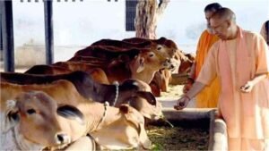 योगी सरकार का महत्वपूर्ण कदम, ‘प्राकृतिक खेती को बढ़ावा देने के लिए गोबर, मूत्र का होगा इस्तेमाल’