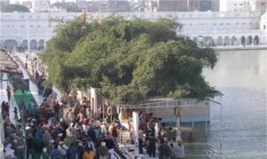 श्री दरबार साहिब की परिक्रमा में बड़ी घटना, श्रद्धालु को अचानक दिल का दौरा पड़ा, मच गई भगदड़