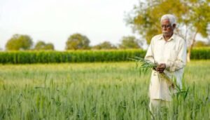 हरियाणा के किसानों पर मोटा कर्जा, पौने 28 लाख किसानों पर 60 हजार करोड़ का कर्जा
