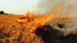 मोहन सरकार की नई स्कीम, एक एकड़ खेत वाले किसान को मिलेंगे 3 हजार रुपए