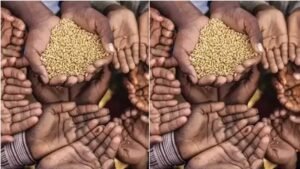 गुना में मुर्दे खा गए करोड़ों का आनाज, जांच में हुआ बड़े फर्जीवाड़े का खुलासा