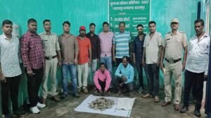 वन विभाग ने पैंगोलिन की 6 किलो स्केल के साथ दो तस्करों को किया गिरफ्तार