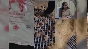 रीवा में गर्भवती महिलाओं को दिए जाने वाले पोषण आहार को पैरों से कुचलकर बनाये जाने का एक वीडियो सामने आया