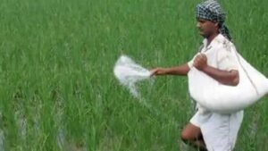 छत्तीसगढ़ में खाद की कोई कमी नहीं
