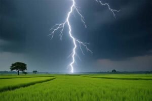 पलामू में आसमानी कहर: धनरोपनी के दौरान आकाशीय बिजली से दो महिलाओं की मौत