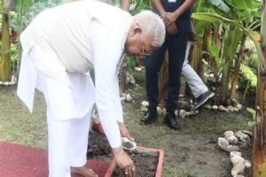 राज्यपाल पटेल ने राजभवन में रोपा तुलसी का पौधा