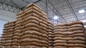 केंद्र के बाद मध्य प्रदेश सरकार ने तय की गेहूं के स्टॉक की सीमा, थोक व्यापारी 3000 टन से ज्यादा नहीं रख सकेंगे