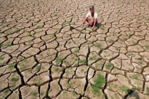 अध्ययन में पता चला की प्रदेश के 10 जिलों में गंभीर सूखे का खतरा, गर्म दिनों की संख्या बढ़ने के चलते बनी स्थिति