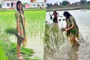 सांसद से किसान बनीं प्रिया सरोज, सहेलियों संग खेत में की धान रोपाई