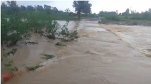 टीकमगढ़, डिंडौरी और गुना में भारी बारिश से कई इलाकों में जलभराव , नदी-नाले उफान पर