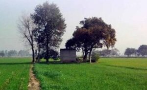 पंजाबियों पर फिर टूटा संकट, जल्द राहत की उम्मीद नहीं