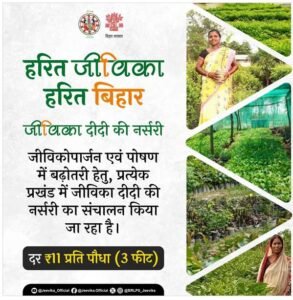राज्य की हरियाली संवारने में अहम भूमिका निभा रही हैं जीविका दीदियां