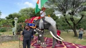 हाथियों का फैशन जलवा: रैम्प पर बिखेरी अनोखी अदाएं, मनाया विश्व हाथी दिवस