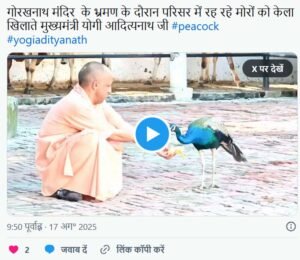 गोरखनाथ मंदिर के दौरे पर मुख्यमंत्री, योगी के हाथों में केला, सामने से दौड़कर आया मोर फिर…