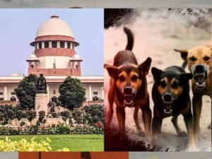 शेल्टर होम में सिर्फ आक्रामक कुत्ते रखे जाएंगे, बाकी को छोड़ा जाएगा: सुप्रीम कोर्ट