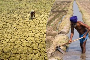 पंजाब में भूजल संकट गहराया, रोपड़ सबसे प्रभावित; 19 जिले खतरे की जद में
