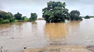 उफान पर गोदावरी: बीजापुर-हैदराबाद NH-163 पर यातायात ठप