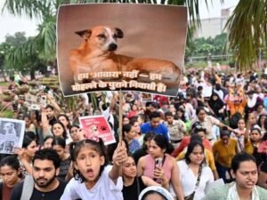 लावारिस कुत्तों पर SC के फैसले से खुश राहुल गांधी, बताए 2 बड़े फायदे