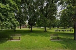 सैनिकों के सम्मान में शहर में तैयार हुआ ‘ऑपरेशन सिंदूर पार्क’, DGP ने पौधा रोपकर किया सलाम