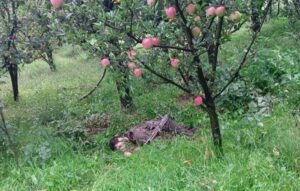 कुलगाम एनकाउंटर: दो आतंकी ढेर, दो जवान शहीद, दो घायल