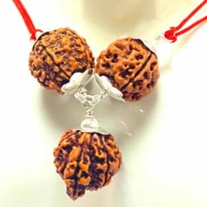 सर्वविध कल्याणकारी है रुद्राक्ष-कवच