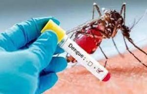 हरियाणा में डेंगू के मामले 792 पहुंचे, रेवाड़ी में सबसे ज्यादा 191 केस; स्वास्थ्य विभाग अलर्ट