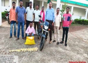 रायपुर : बांस करील के अवैध परिवहन पर कार्रवाई आरोपी गिरफ्तार