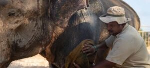 सुप्रीम कोर्ट की मुहर: जामनगर वन्यजीव संरक्षण के लिए सबसे उपयुक्त स्थल