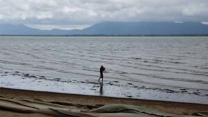 बांग्लादेश से आई ‘समुद्र की रानी’, खुश हैं लोग लेकिन दुकानदारों की चिंता बढ़ी – जानिए वजह