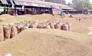 बिहार खाद्य निगम में बड़ी कार्रवाई: 12 पदाधिकारी निलंबित, विभाग ने सख्ती दिखाई