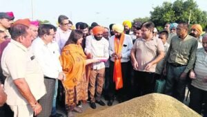 राजपुरा में फसल खरीद का काम पूरा, विधायक नीना मित्तल ने किए प्रबंध
