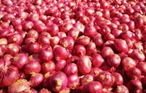 अब प्याज की बढ़ती कीमत से राहत, इन शहरों में मिलेगा सब्सिडी वाला प्याज