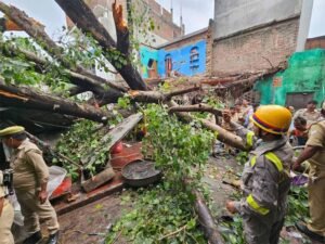 लखनऊ में बारिश का कहर: भारी पेड़ गिरा, 1 की मौत, कई घायल, डिप्टी सीएम现场 पहुंचे