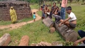 शहडोल हिंसा: आरोपियों ने वन टीम के सामने फाड़ा सर्च वारंट, मचा हड़कंप