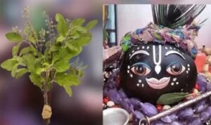 तुलसी के श्राप से शालिग्राम तक: जानें भगवान विष्णु के इस अद्भुत रूप की कथा