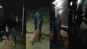 भाजपा नेत्री से मारपीट, आरोप: गुर्जर परिवार ब्राह्मणों को मंदिर जाने से रोकता है