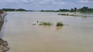 बूढ़ी गंडक का कहर: मुजफ्फरपुर में फिर बाढ़ का साया