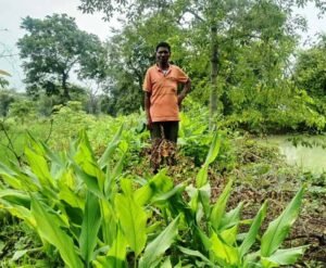 डबरी ने खोले समृद्धि के द्वार, दुलार सिंह का सपना हुआ साकार