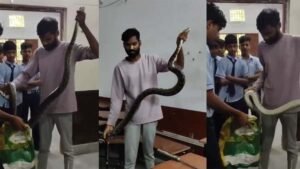क्लासरूम में अजगर की दहशत, फुंकार से मचा हड़कंप, छात्रों का हुआ रेस्क्यू