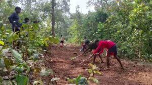 स्वयं की मेहनत, खुद की सड़क: गुड़ियापदर के ग्रामीणों ने दिखाया विकास का जज़्बा