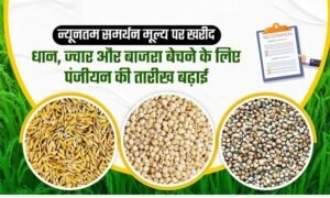 समर्थन मूल्य पर धान, ज्वार एवं बाजरा उपार्जन हेतु पंजीयन 10 अक्टूबर तक