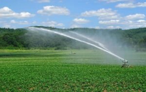 रायपुर : दो सिंचाई परियोजनाओं के कार्यों के लिए 7.36 करोड़ रूपए स्वीकृत