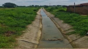 रायपुर : सिंचाई रकबे में उल्लेखनीय बढ़ोतरी, 40 हजार से अधिक किसान ले रहे लाभ