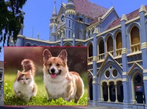 जबलपुर हाईकोर्ट का स्पष्ट निर्देश: सरकारी आवास पालतू जानवरों के लिए नहीं, केवल परिवार के लिए